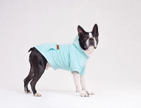 AMIPLAY Bluza Z Kapturem Texas Żółta 40cm