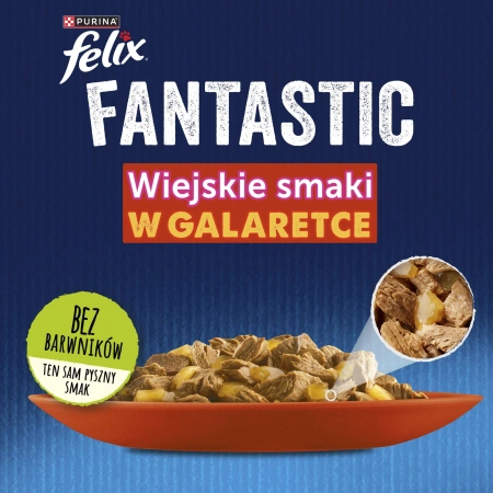 Felix Fantastic Mix Smaków W Galaretce Karma Dla Kota 44x85g