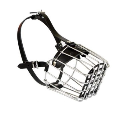 Dingo Kaganiec Metalowy Dla Psa Rozmiar 2a