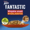 Felix Fantastic Mix Smaków W Galaretce Karma Dla Kota 44x85g