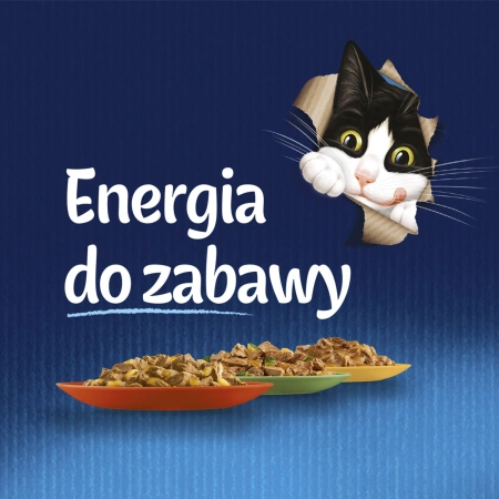 Felix Fantastic Mix Smaków W Galaretce Karma Dla Kota 44x85g